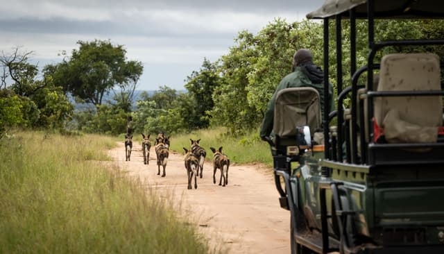 Savanna Private Game Reserve