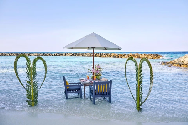 Taj Coral Reef Resort & Spa