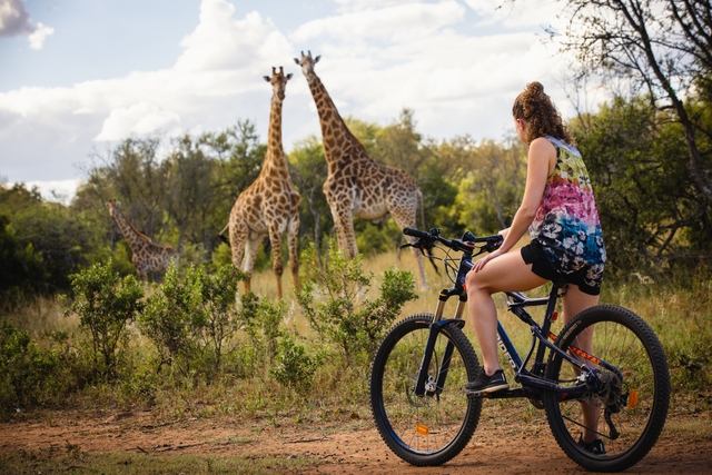 Mountain biking