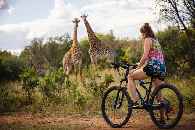 Mountain biking