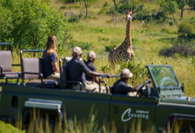 Game drive