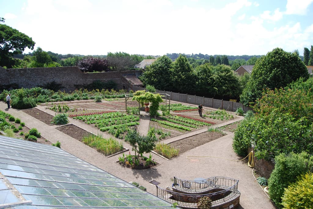 Kitchen garden