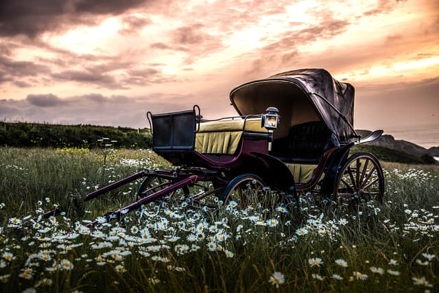 Carriage
