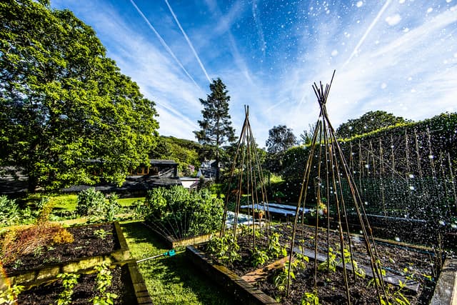 Gardens