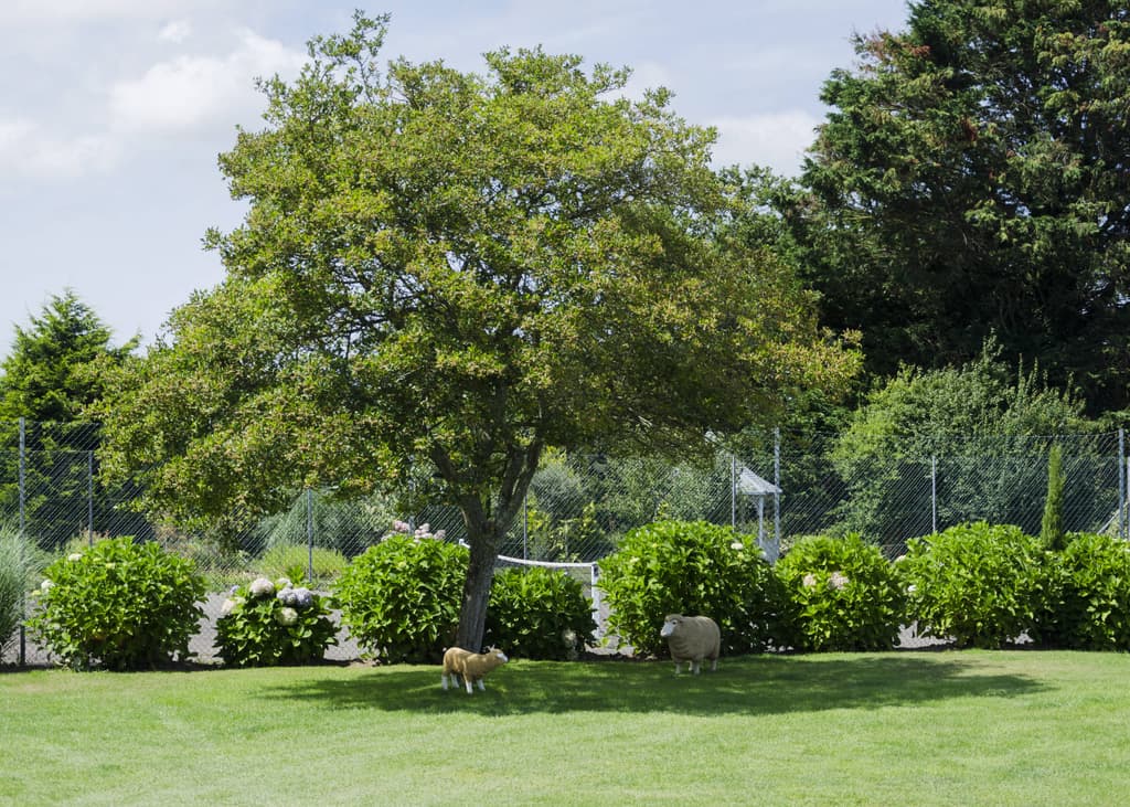 Gardens