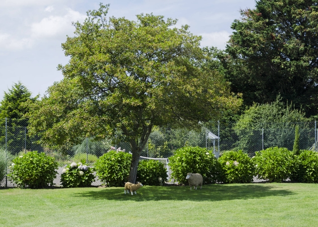 Gardens