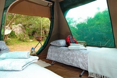 Shamwari Explorer Camp